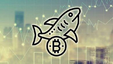 Акулы рынка приобрели более 65 тыс. BTC за последнюю неделю