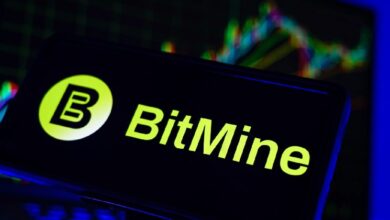 Bitmine вложила  млн в Eightco Holdings, акции которой выросли на 3000% на фоне планов создания резервов Woldcoin
