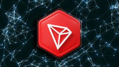 Число транзакций в сети TRON превысило отметку в 11,3 млрд