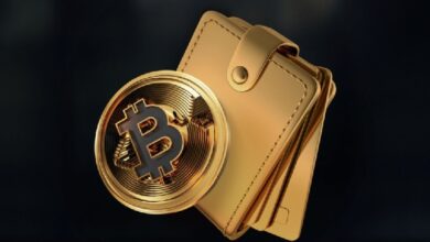 DL Holdings займётся майнингом биткоинов