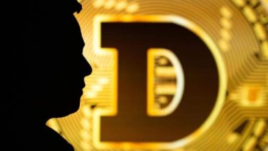 Dogecoin вырос на 50 % после конфликта Илона Маска с Трампом