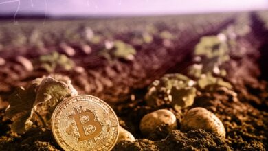 Эксперты оценили потенциал Беларуси стать региональным криптохабом 
