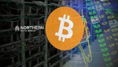 У принадлежащей Tether компании прошли обыски по делу о налоге на майнинг