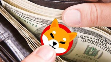 В 10 криптокошельков сосредоточены 62,3% SHIB, 51% ETH и Uniswap