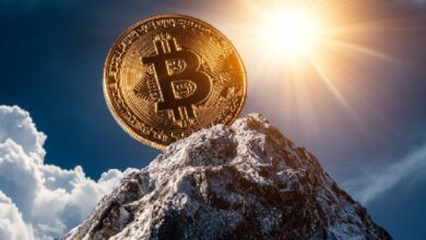 В августе хешрейт сети Биткоин вернулся к рекордному уровню: JPMorgan