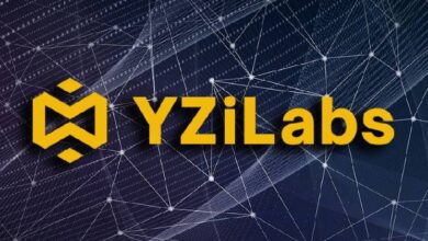 Компания YZi Labs анонсировала фонд на  млрд для развития BNB