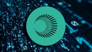 Лидеры роста активных пользователей: Plasma и Base опережают рынок