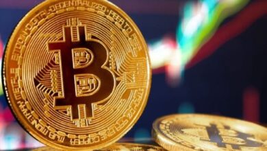 Mining Space начинает строительство дата-центра мощностью 100+ МВт на Дальнем Востоке