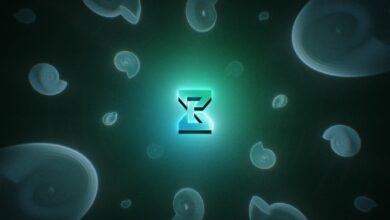 Новый блокчейн zkVerify удешевляет верификацию ZK-доказательств