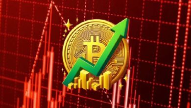 NVM Ratio бьет рекорд: рынок BTC в неизведанной зоне