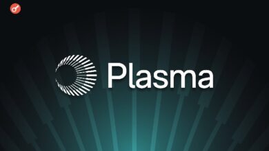 Plasma расширился в Европе: лицензия VASP и новый офис в Амстердаме