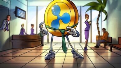 Связанная с Ripple Evernorth готовится к выходу на биржу через SPAC на  млрд в XRP