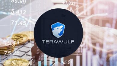 TeraWulf разместит конвертируемые облигации на 0 млн для строительства дата-центра в Техасе