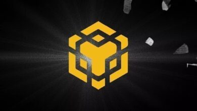 В BNB Chain появятся x402-транзакции