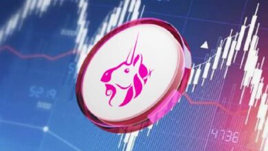 Комиссия SEC могла признать BTC в роли ценной бумаги: Сэм Бэнкман-Фрид рассказал об этом главе Uniswap