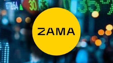 Основатели Zama анонсировали старт Testnet v2 и готовят финальный релиз основной сети