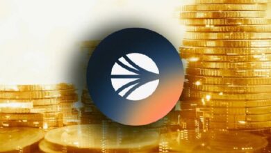 Провал миграции Fantom в Sonic станет важным уроком для разработчиков криптопроектов