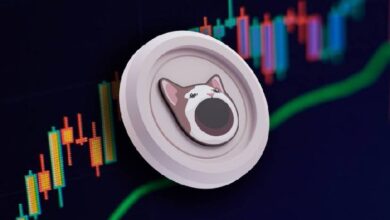 Расследование Specter: BTX Capital и ее глава Ванесса Цао подозреваются в манипуляциях на рынке POPCAT