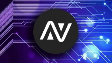 Руководство Avalon Labs анонсировало концепцию AI-MaaS и возможности токенизации коммерческих прав