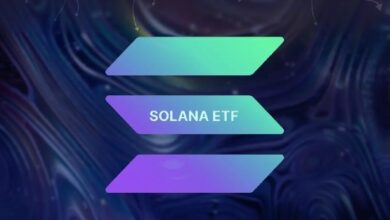 Solana-ETF привлекли за 11 дней свыше 0 млн 