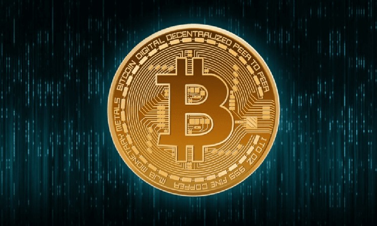 
			В 2025 году объём корпоративных инвестиций в биткоин удвоится и превысит 105 миллиардов долларов		