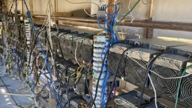 В Кемеровской области три майнинг-фермы причинили ущерб на 21 млн рублей