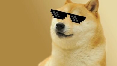 DogeCon 2025 представит мост Solana–Doge и объединит механизмы PoW и PoS
