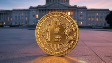 Институт политики биткоина бьет тревогу из‑за налоговых льгот для стейблкоинов