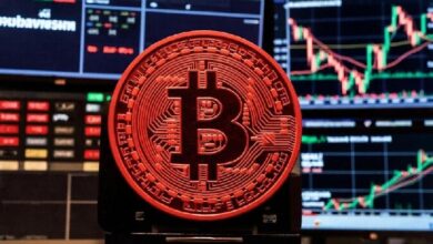 Отток средств из спотовых BTC-ETF в ноябре достиг ,5 млрд