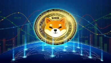 Платформа K9 Finance пригрозила разорвать связи с блокчейном Shibarium