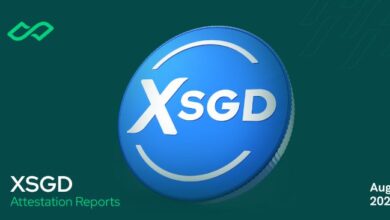 Разработчики StraitsX анонсировали запуск стейблкоинов SGD и USD в сети Solana