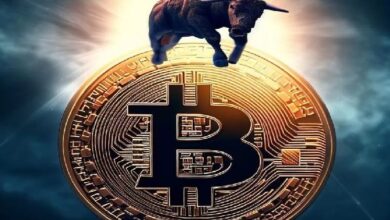 Цена биткоина превысила 94 000 долларов! Какие последние данные? Чего ожидать дальше? Вот что вам нужно знать