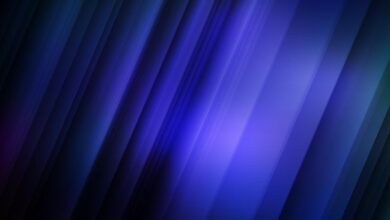 Etherfuse сотрудничает с Shinhan в сфере токенизации