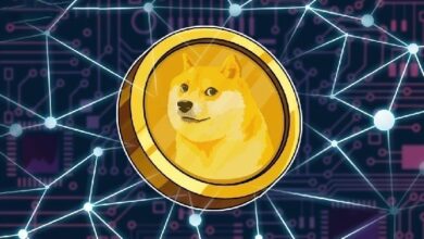 Исторический день для Dogecoin (DOGE): крупная инвестиционная компания сделала объявление!