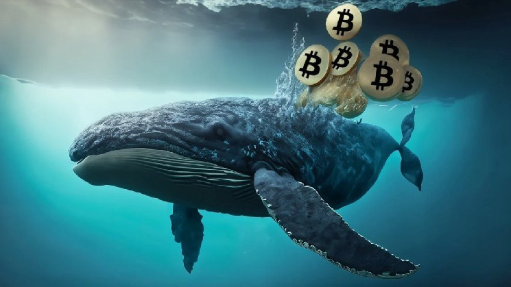 
			Накопление &laquo;китами&raquo; биткоинов достигло максимума с 2024 года		