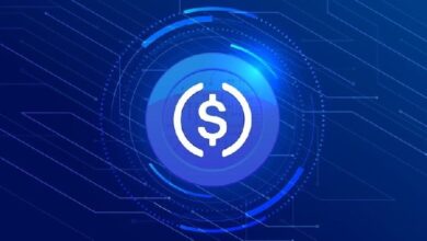 ООН намерена оказывать помощь беженцам стейблкоинами
