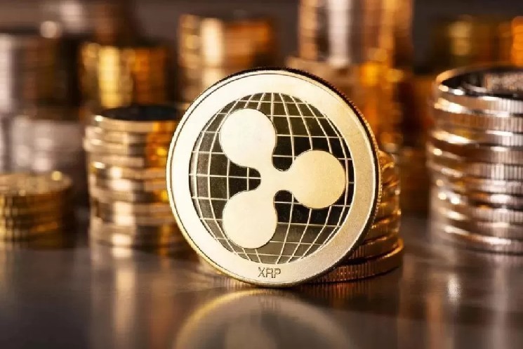 
			В спотовые ETF на XRP наблюдается рекордный приток средств, но аналитики дают пессимистичный прогноз: &laquo;Недостаточно разработчиков&raquo;		