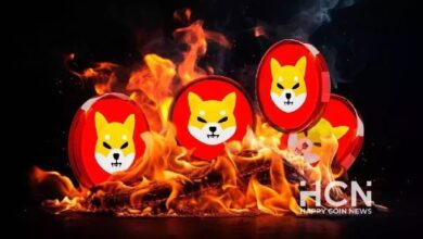 За сутки скорость сжигания Shiba Inu резко упала на 87%