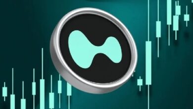 Подробный обзор компании Hyperliquid (HYPE): аналитическая компания предоставляет углубленную оценку
