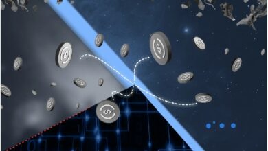 Stripe представила платежи для ИИ-агентов на базе USDC и протокола x402