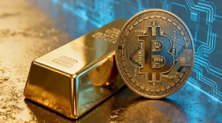 Топ-менеджер QCP Capital назвал биткоин «меняющим свой характер гибридом»