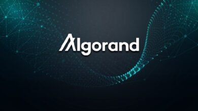 Algorand Foundation сокращает 25% сотрудников: сигнал о давлении на криптоиндустрию