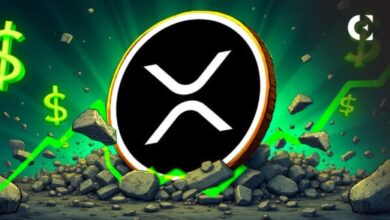 Дэвид Шварц говорит, что XRP станет дешевле при выращении цен