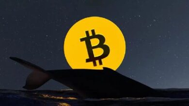 Инвестор, купивший биткоины по низкой цене 13 лет назад, перевел 500 BTC на Binance! Вот подробности
