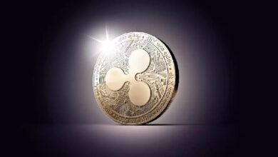 Компания Evernorth сообщает о значительных убытках от инвестиций в XRP Holdings: теперь будет применять другую стратегию