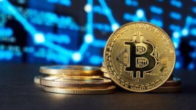 Лонги по биткоину на Bitfinex обновили максимум за 28 месяцев, и это радует медведей