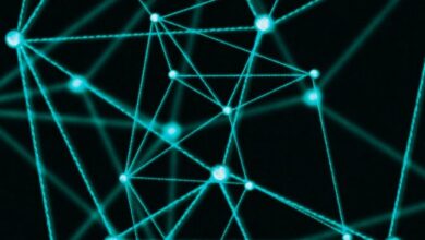 Ontology опубликовал планы развития на 2026 год