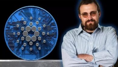 Основатель Cardano (ADA) Чарльз Хоскинсон сделал шокирующее заявление: «Этой функции нет в Bitcoin и Ethereum»