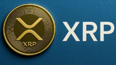Стали известны самые крупные инвесторы в XRP-фонды