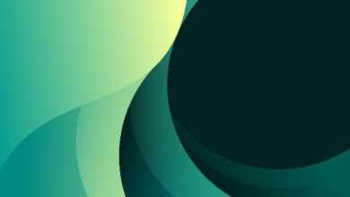 zerohash расширяет поддержку USDCx в сети Canton